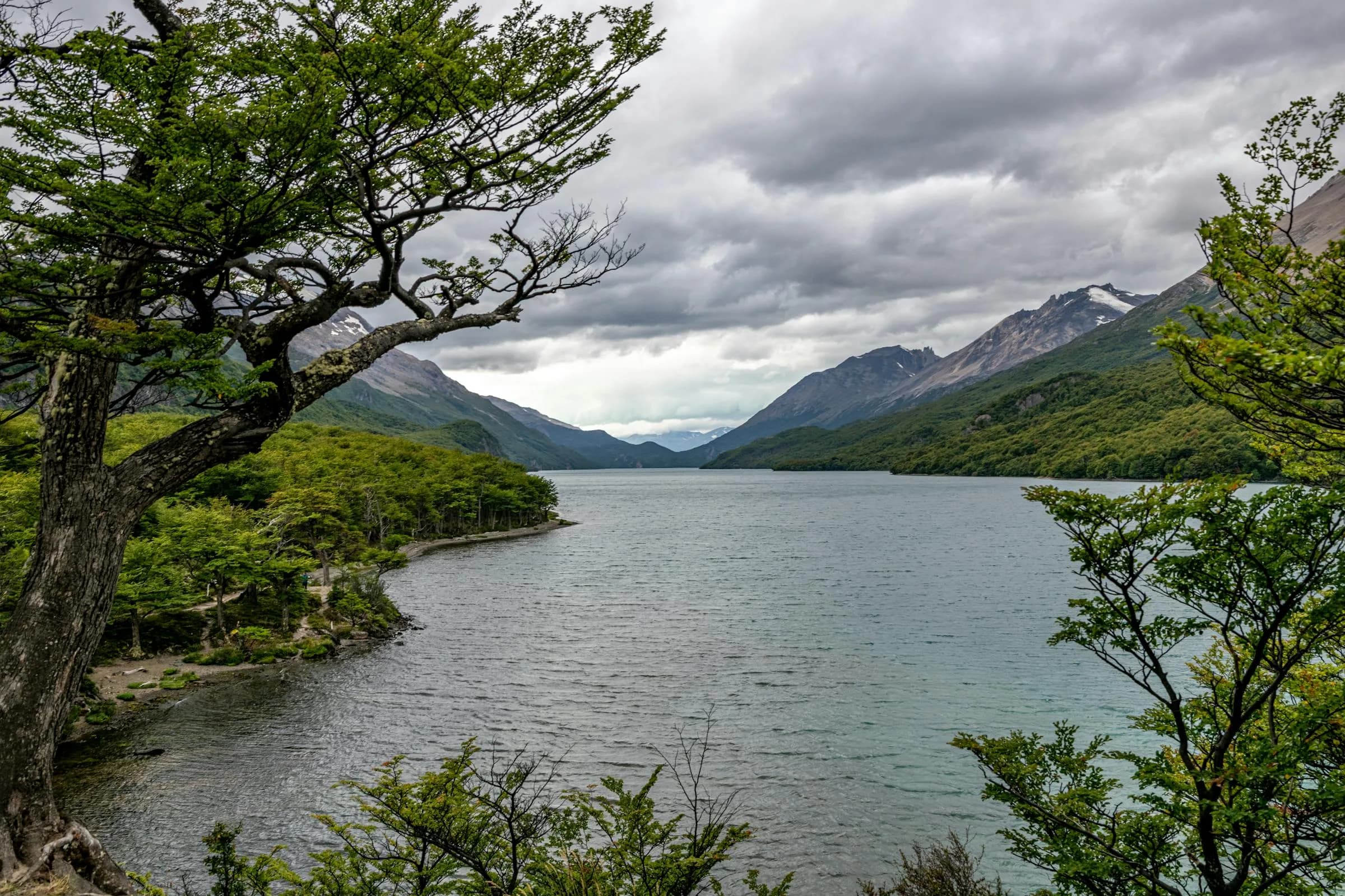 Argentine Big Game & Wing Shooting — Argentina