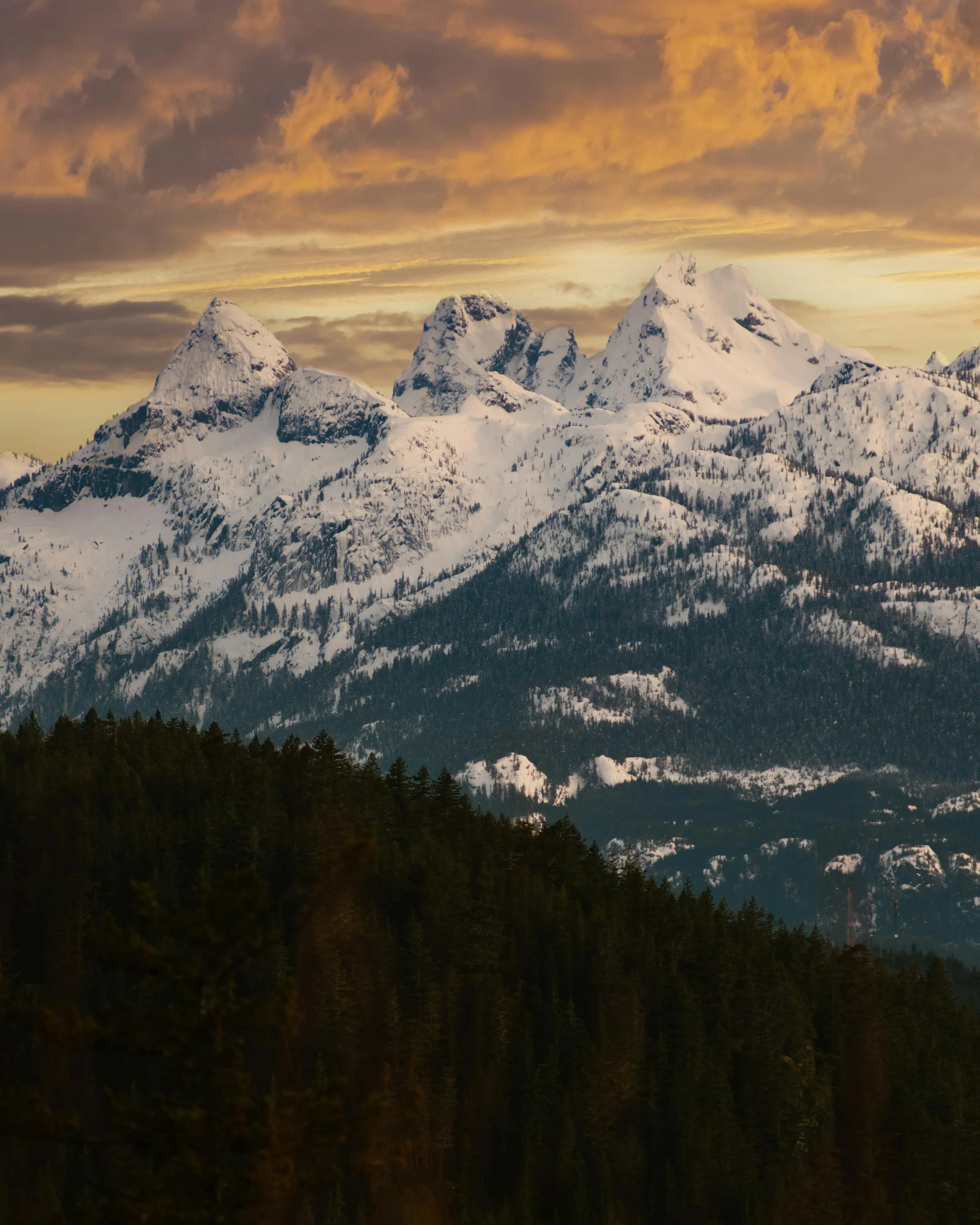 Rocky snowcapped mountains and forest valley at sunset