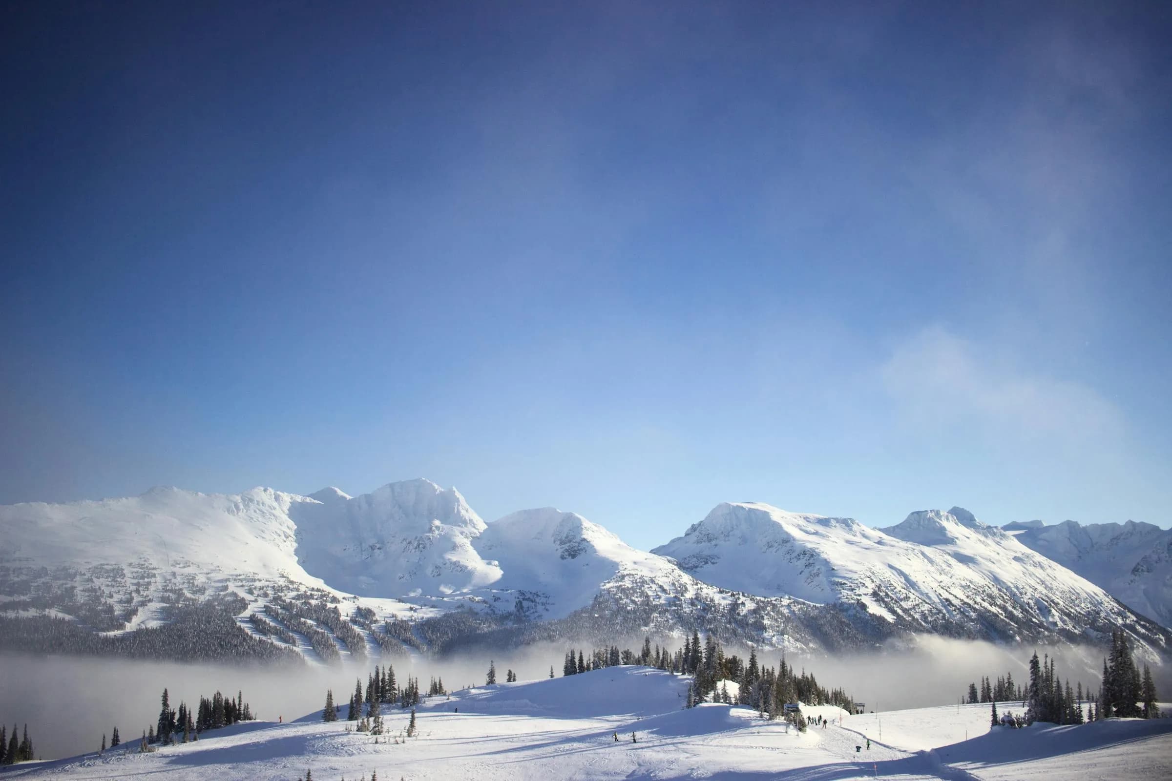 Winter mountains and forest under a clear sky