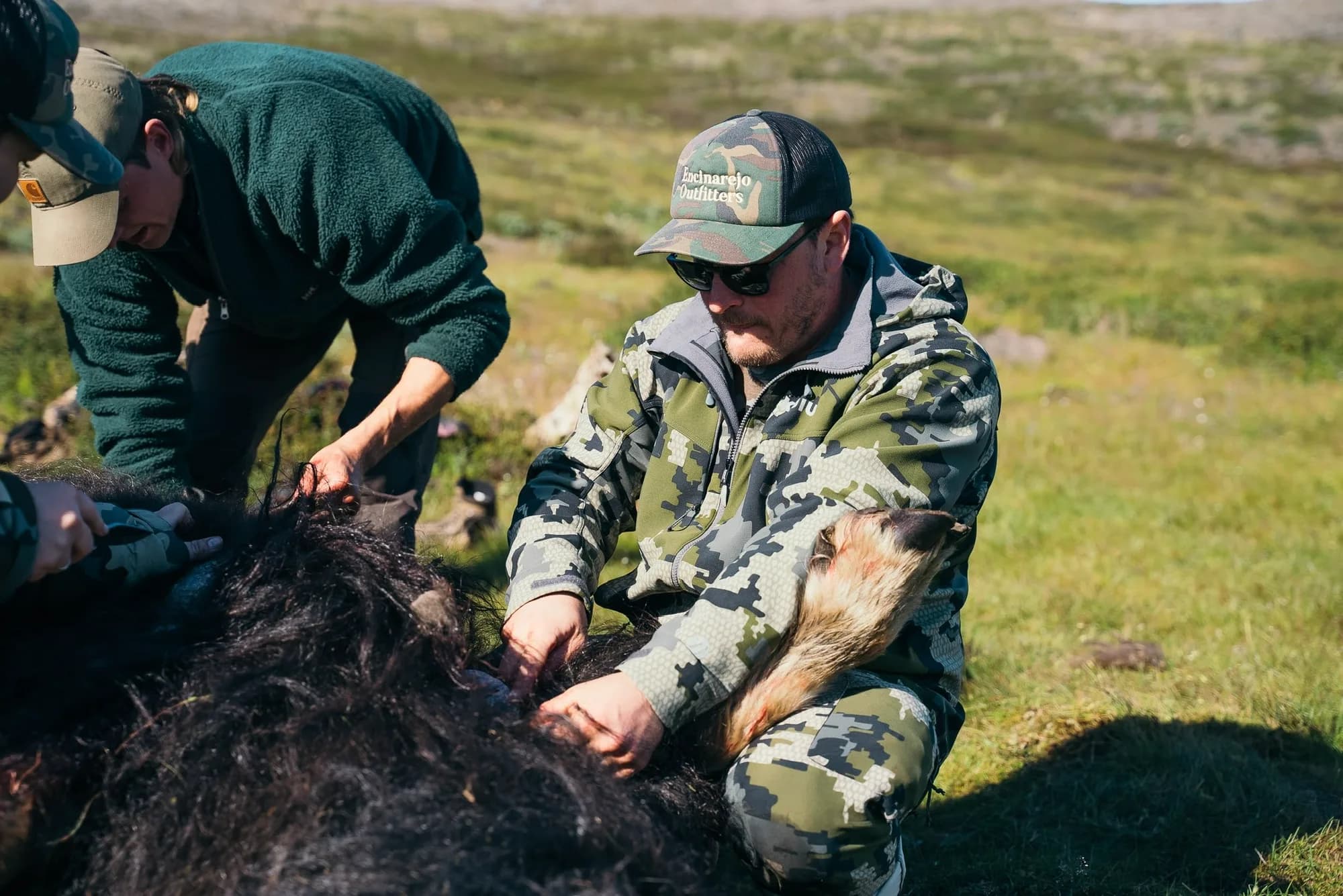 Approaching a muskox after the stalk