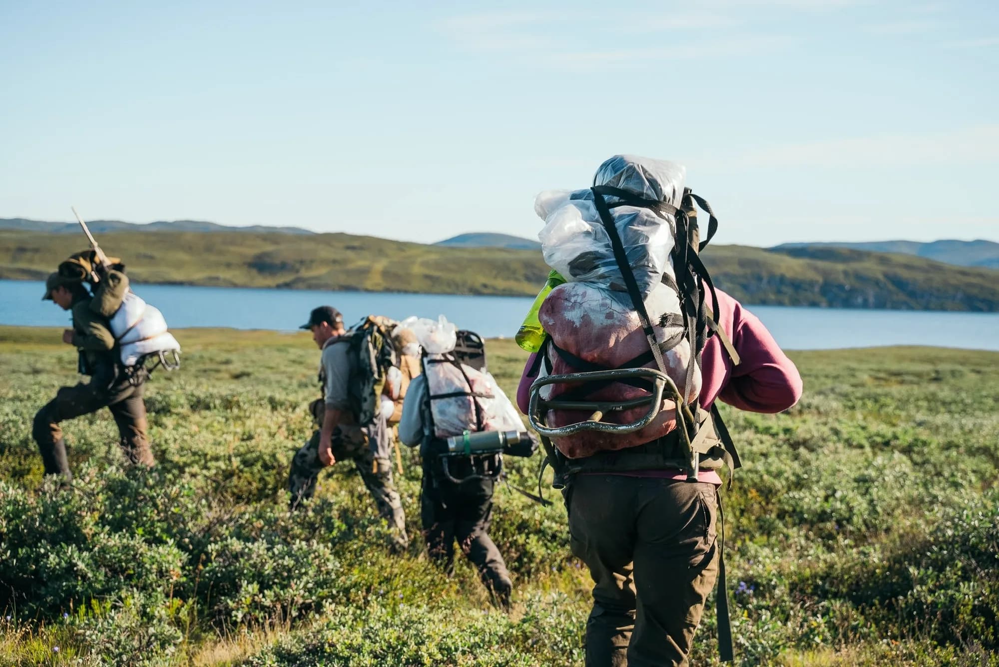 The team carrying loads back to camp across the tundra