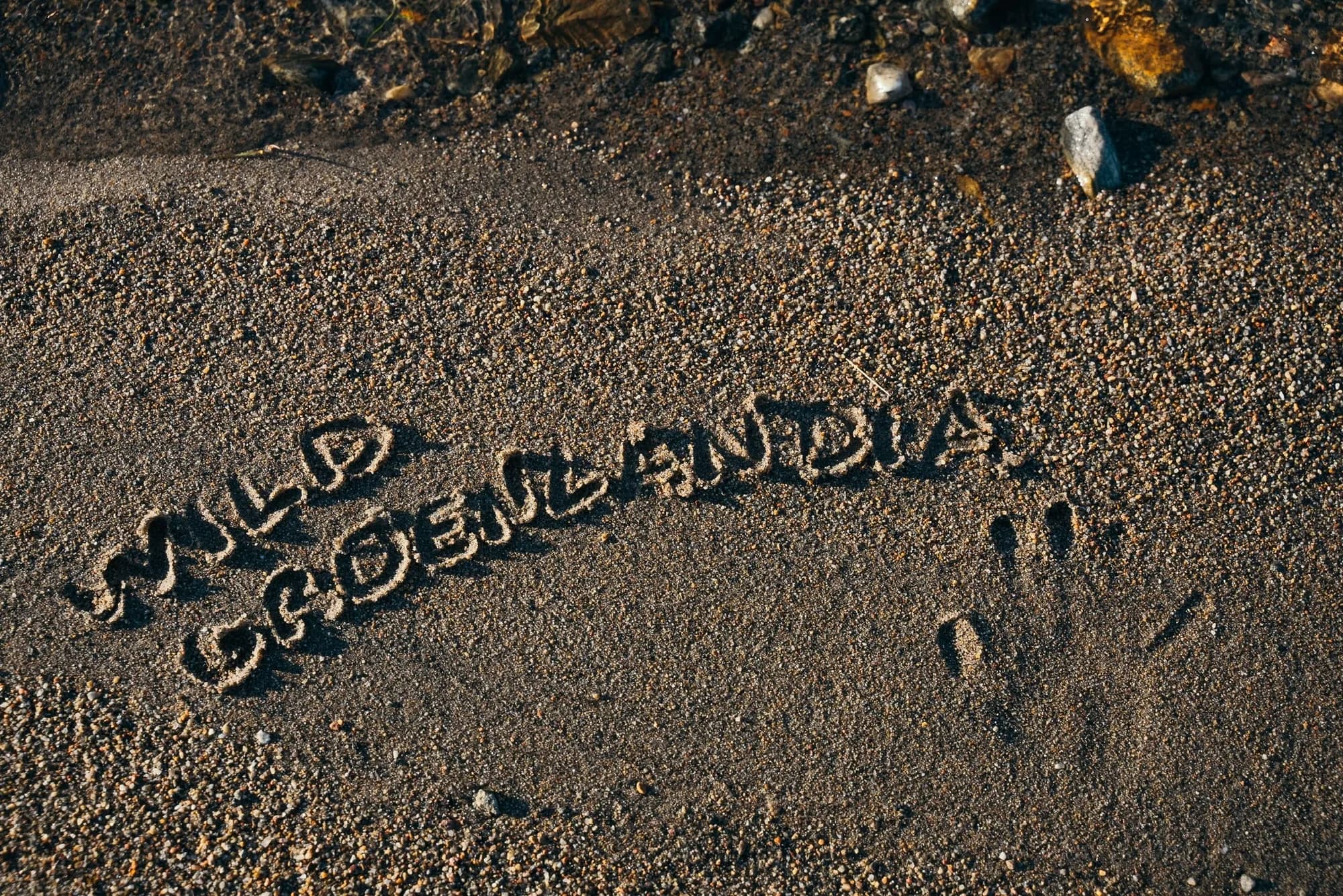 ‘Wild Greenland’ traced in the tundra sand