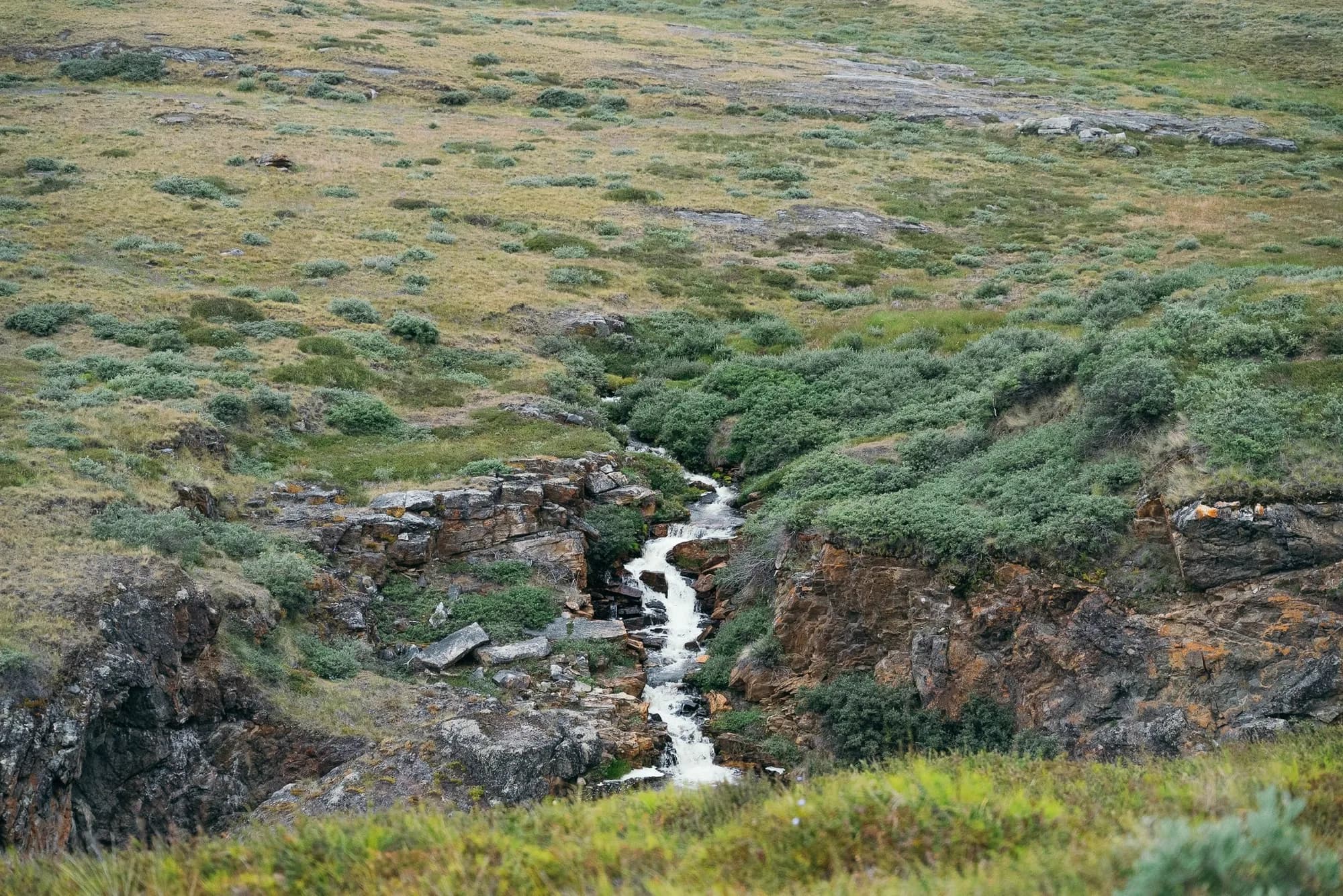 Glacial stream winding across the open tundra