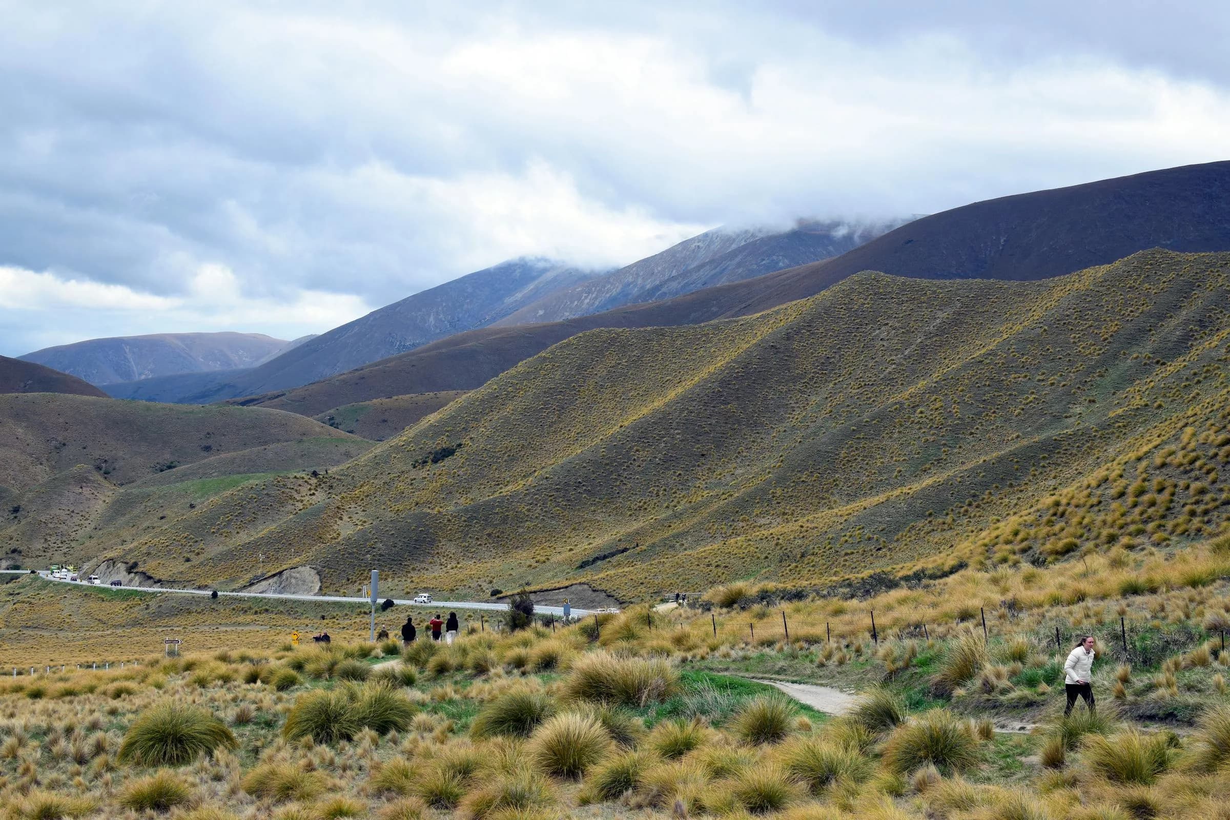 New Zealand Trophy Hunting — New Zealand