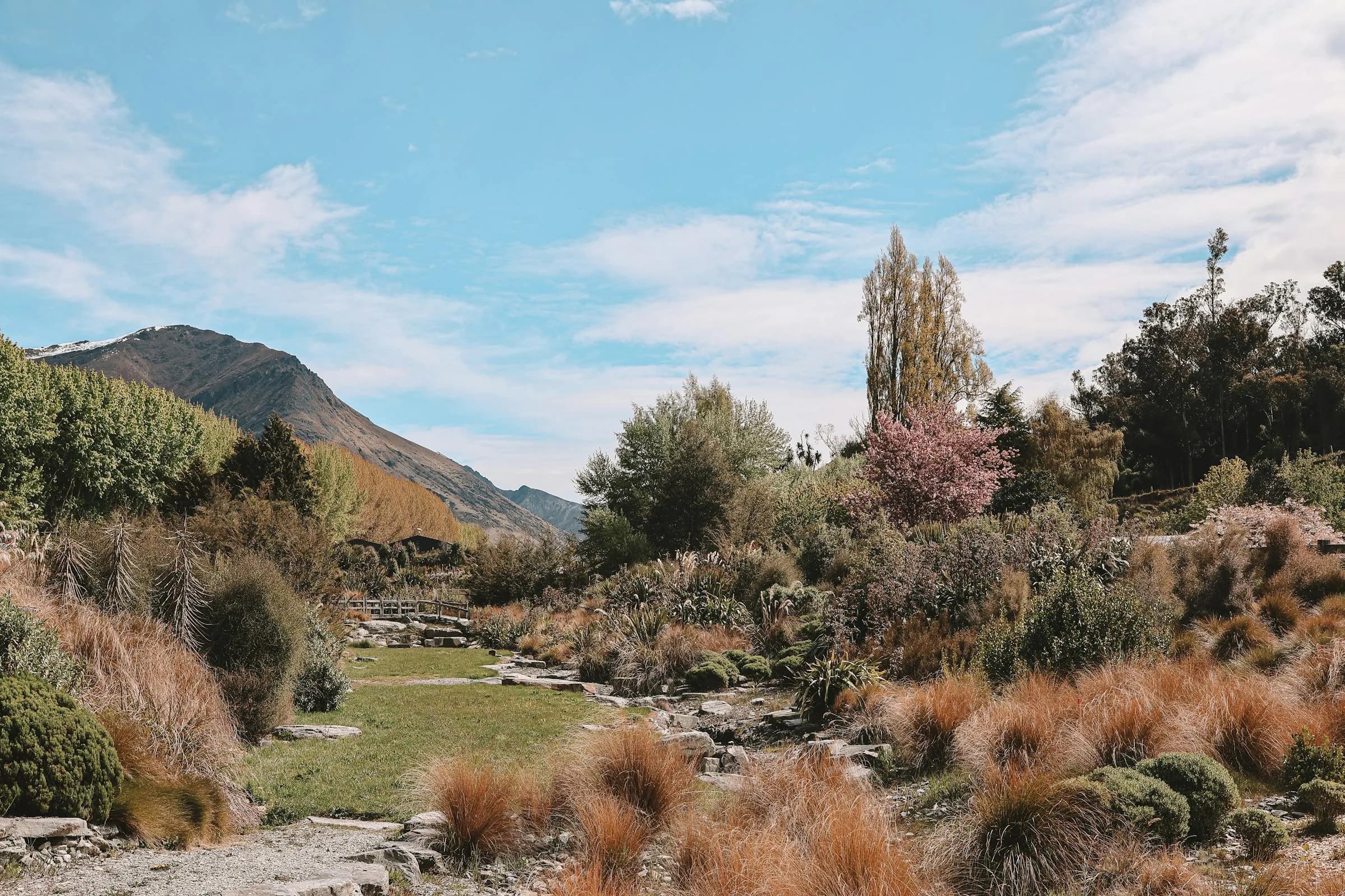 Queenstown landscape