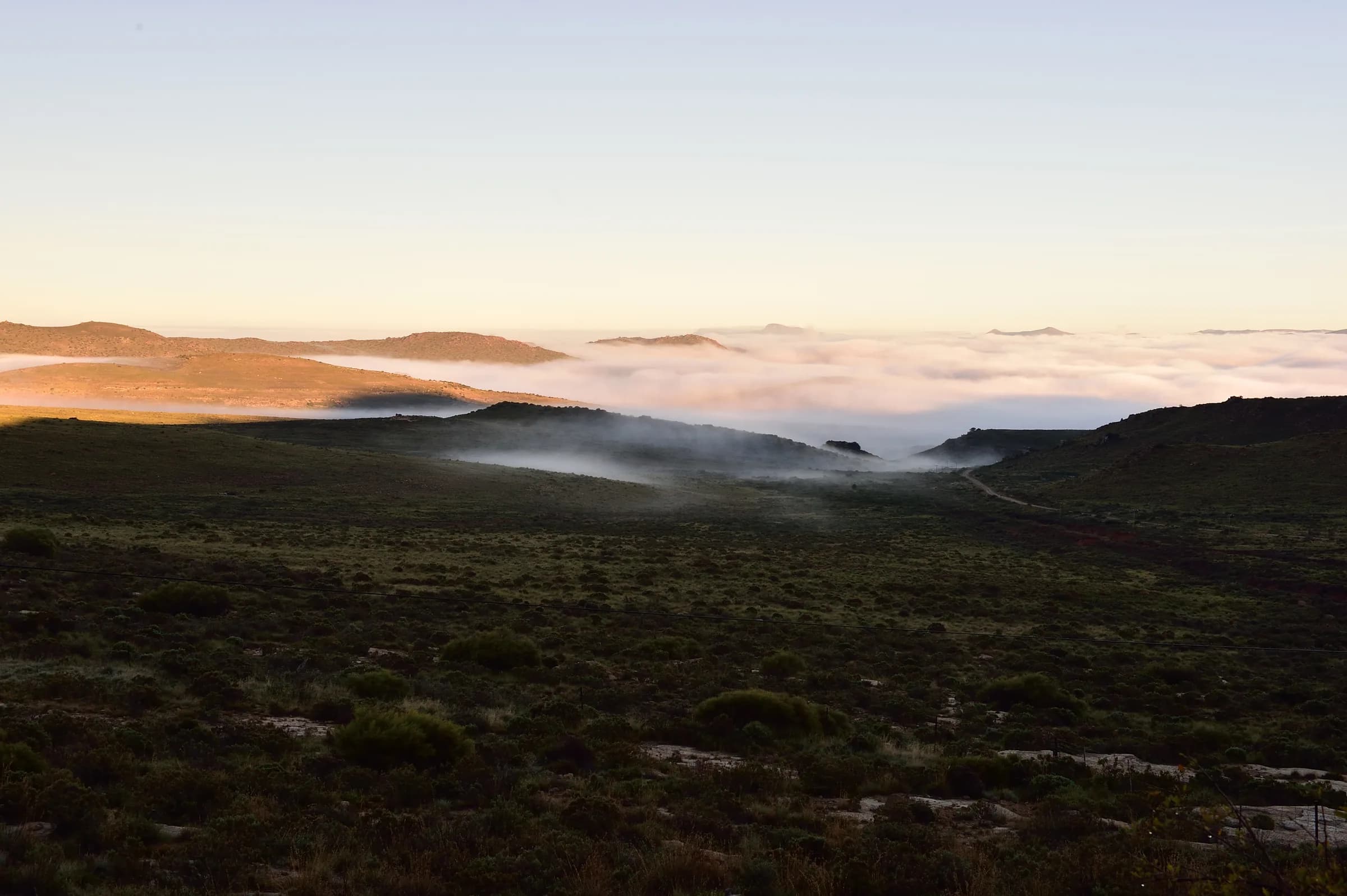 Karoo landscape, Eastern Cape