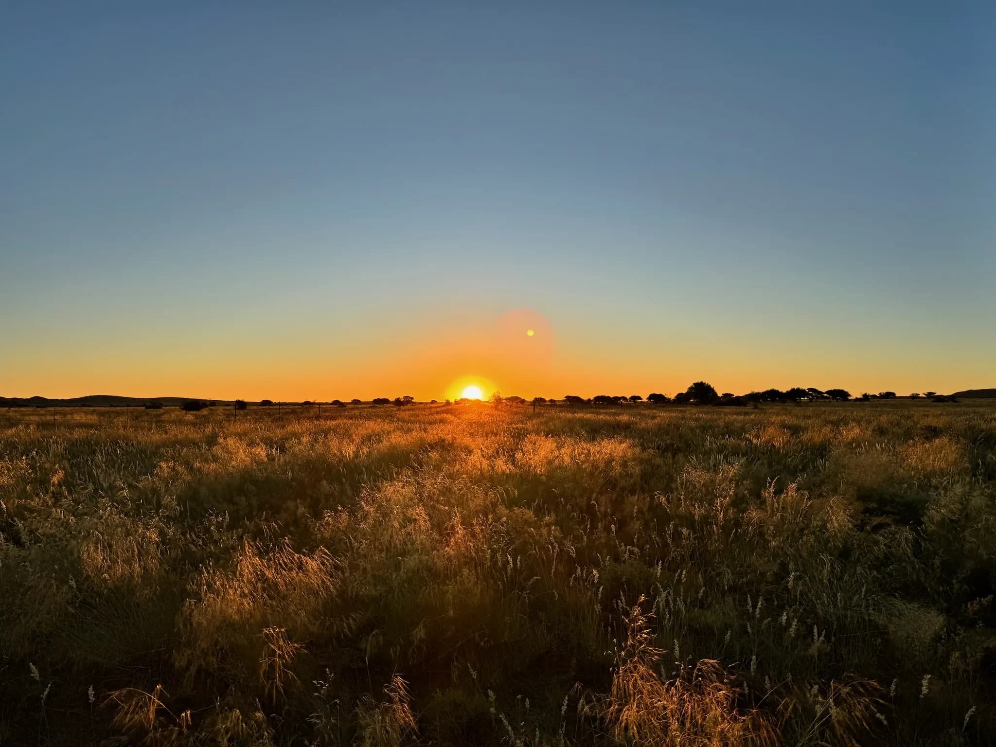 Eastern Cape bushveld at golden hour