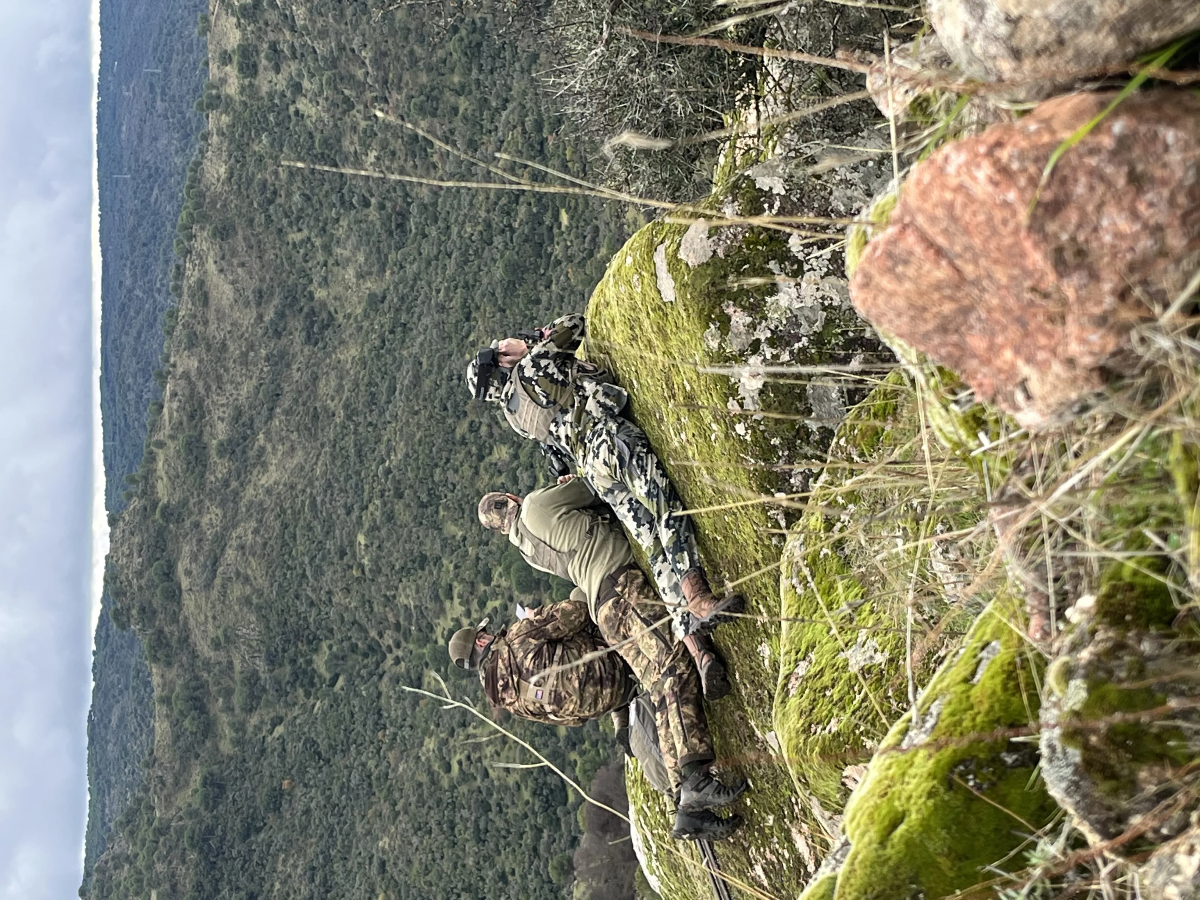Group hunting in Spanish countryside