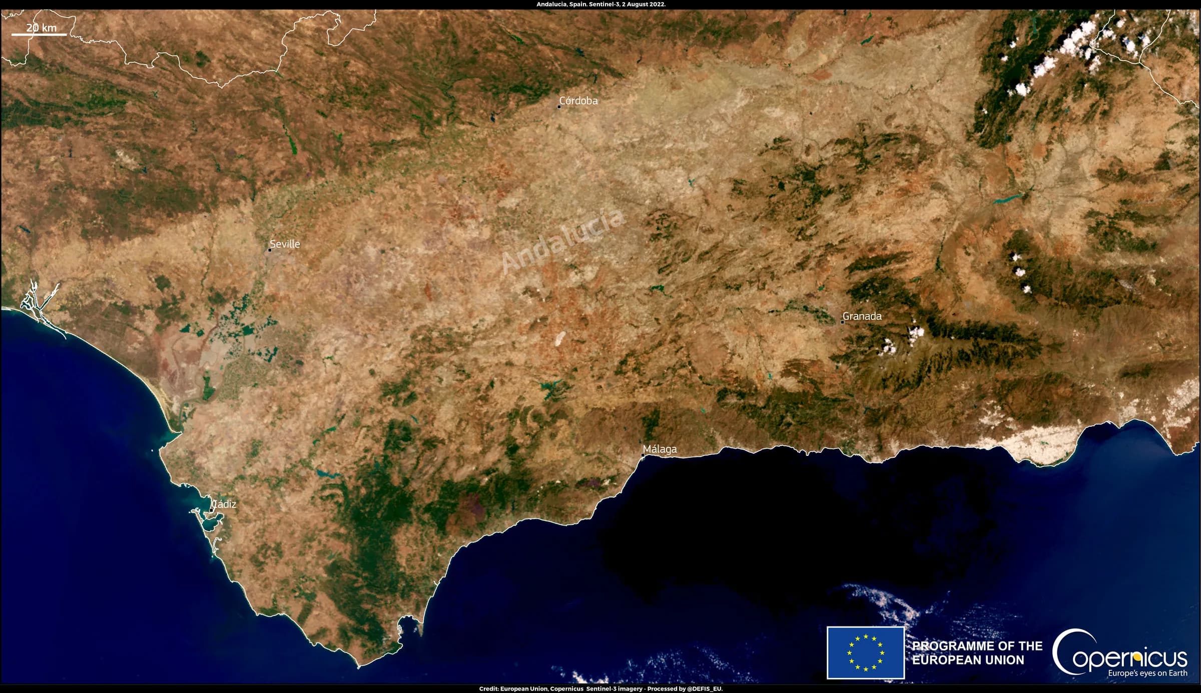 Olive groves in southern Spain