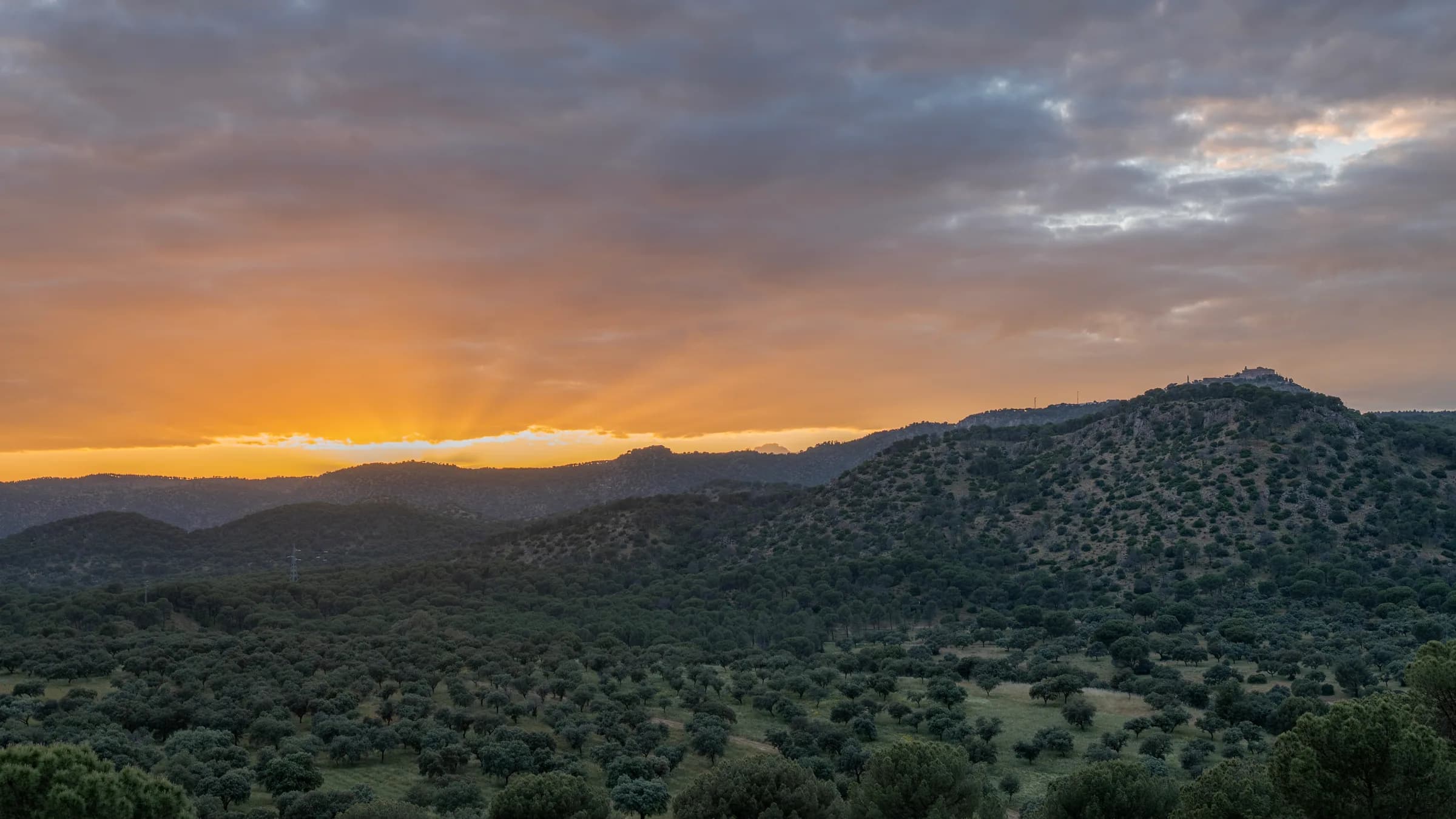 Rolling Sierra Morena hillsides of holm oak and scrub in evening light — Spain's montería heartland