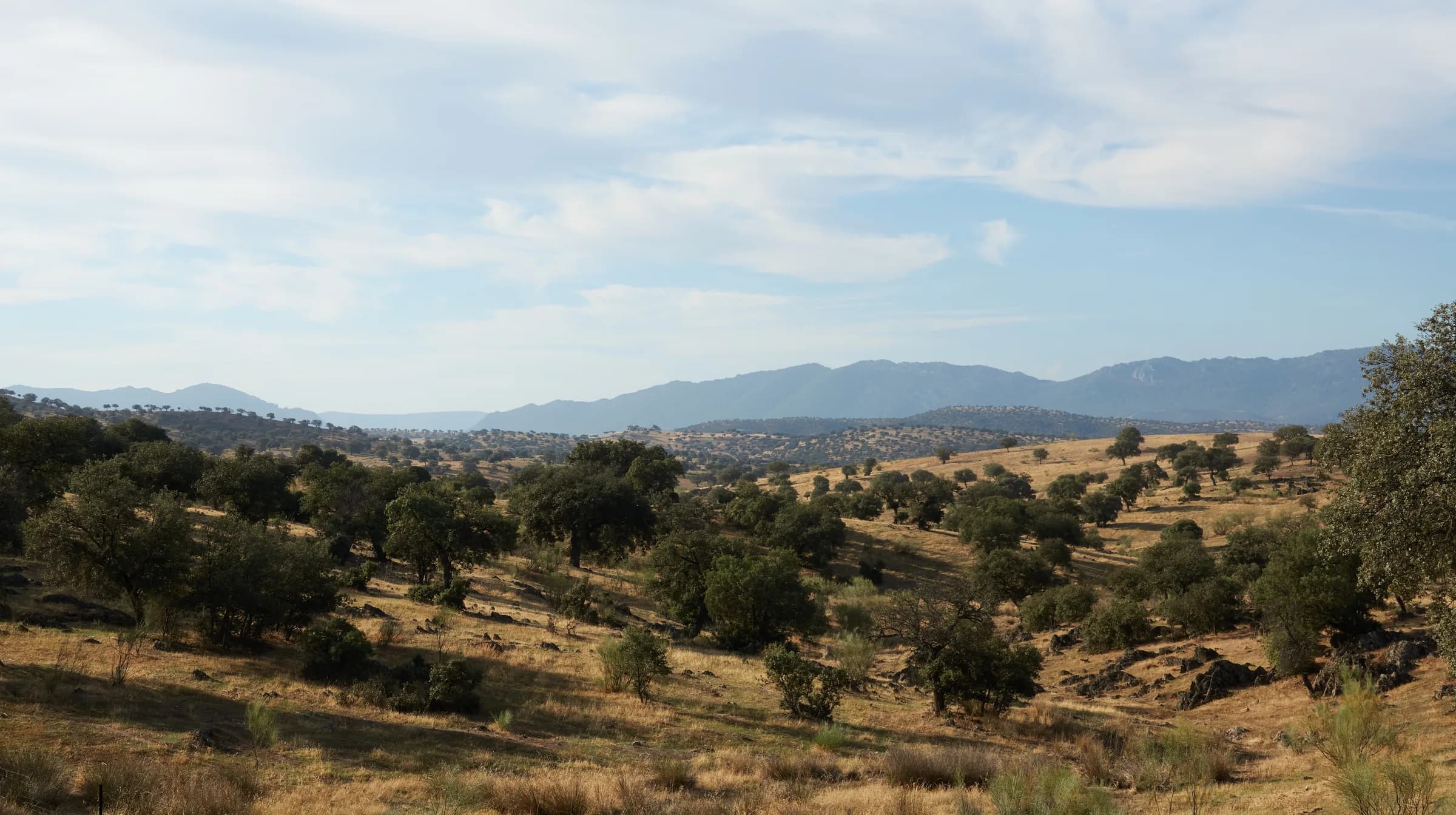 Sierra Morena ridge in southern Spain