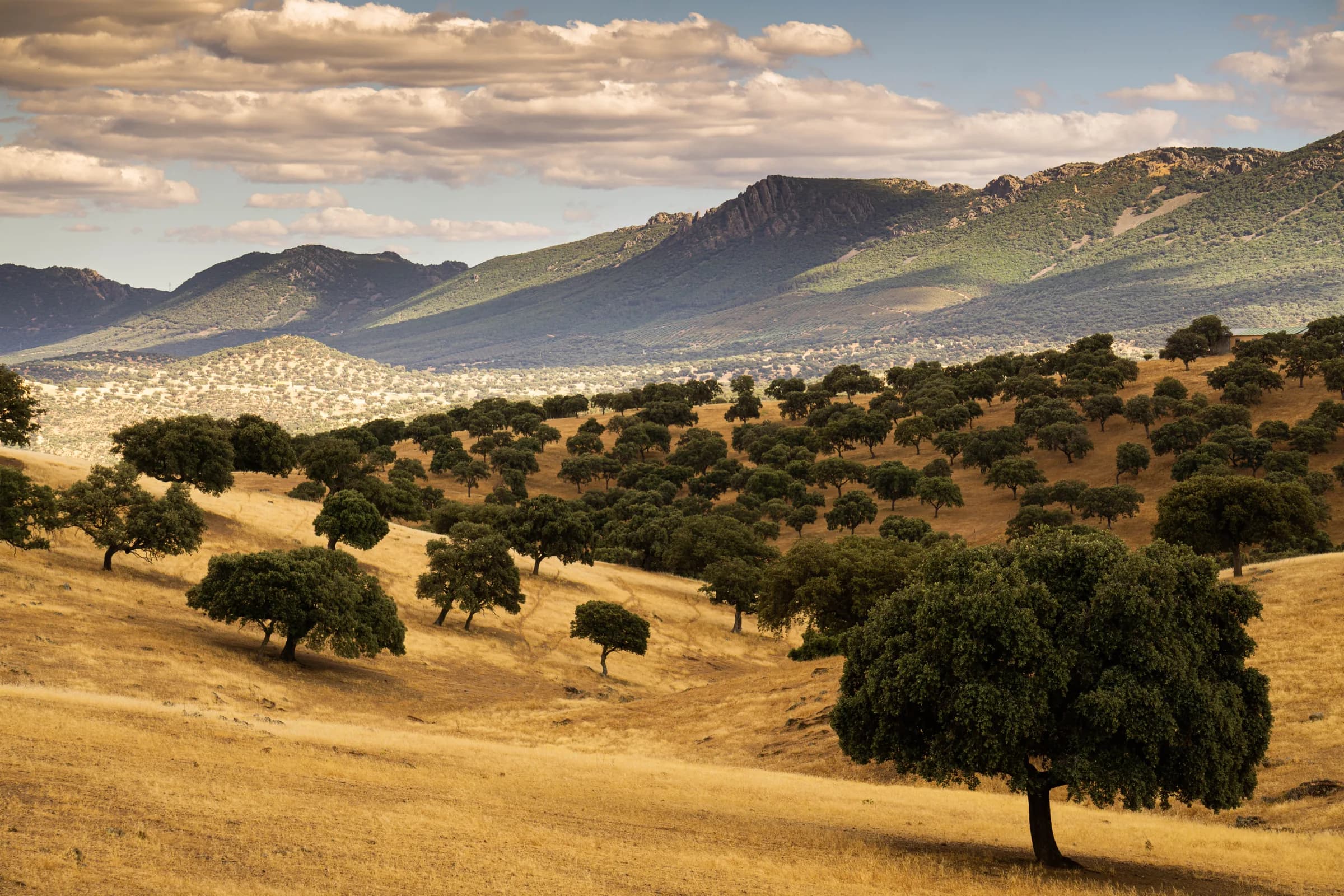 Valle de Alcudia, Sierra Morena