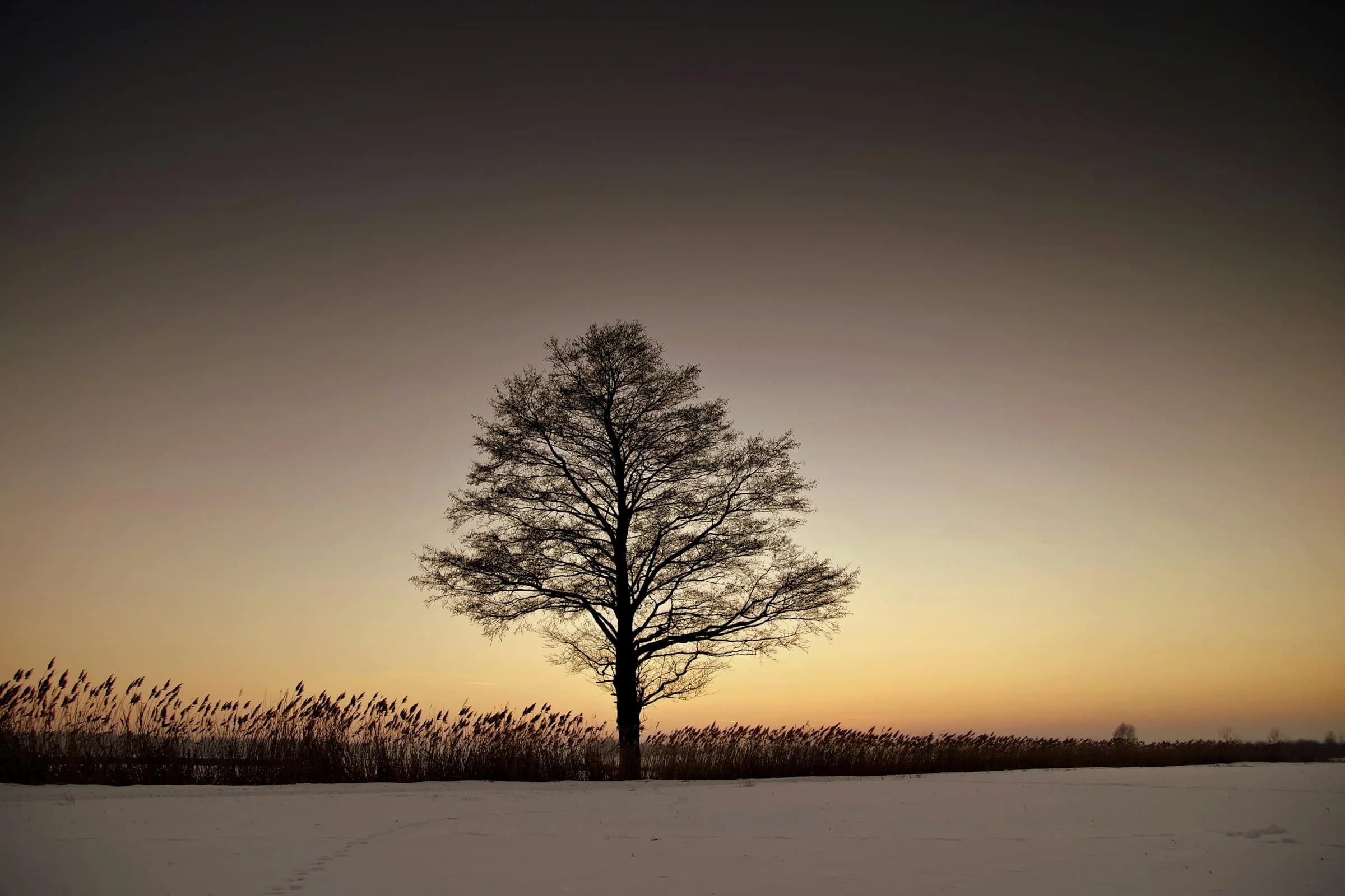 Sundown — the moment a safari becomes a story