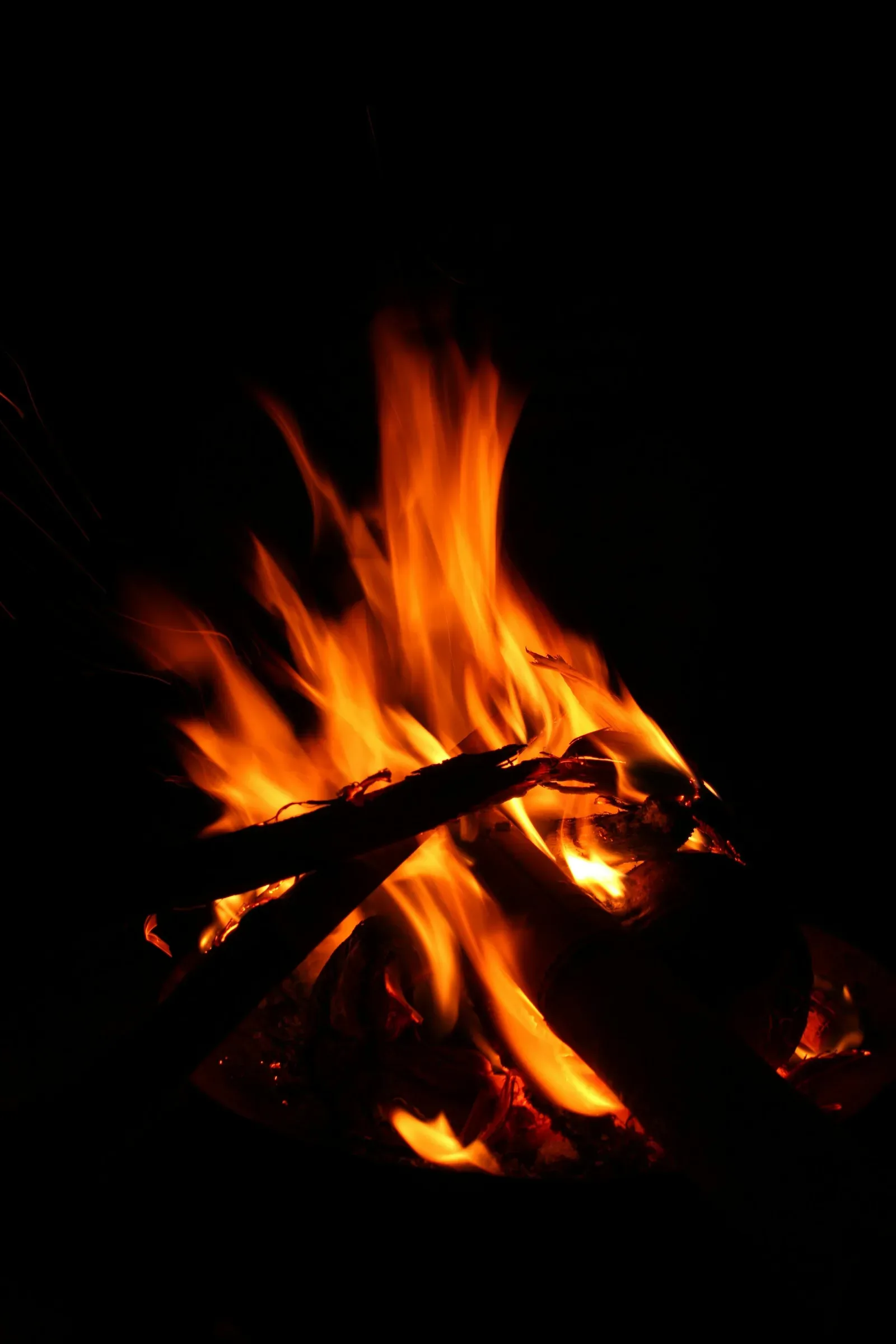 Around the fire after the hunt