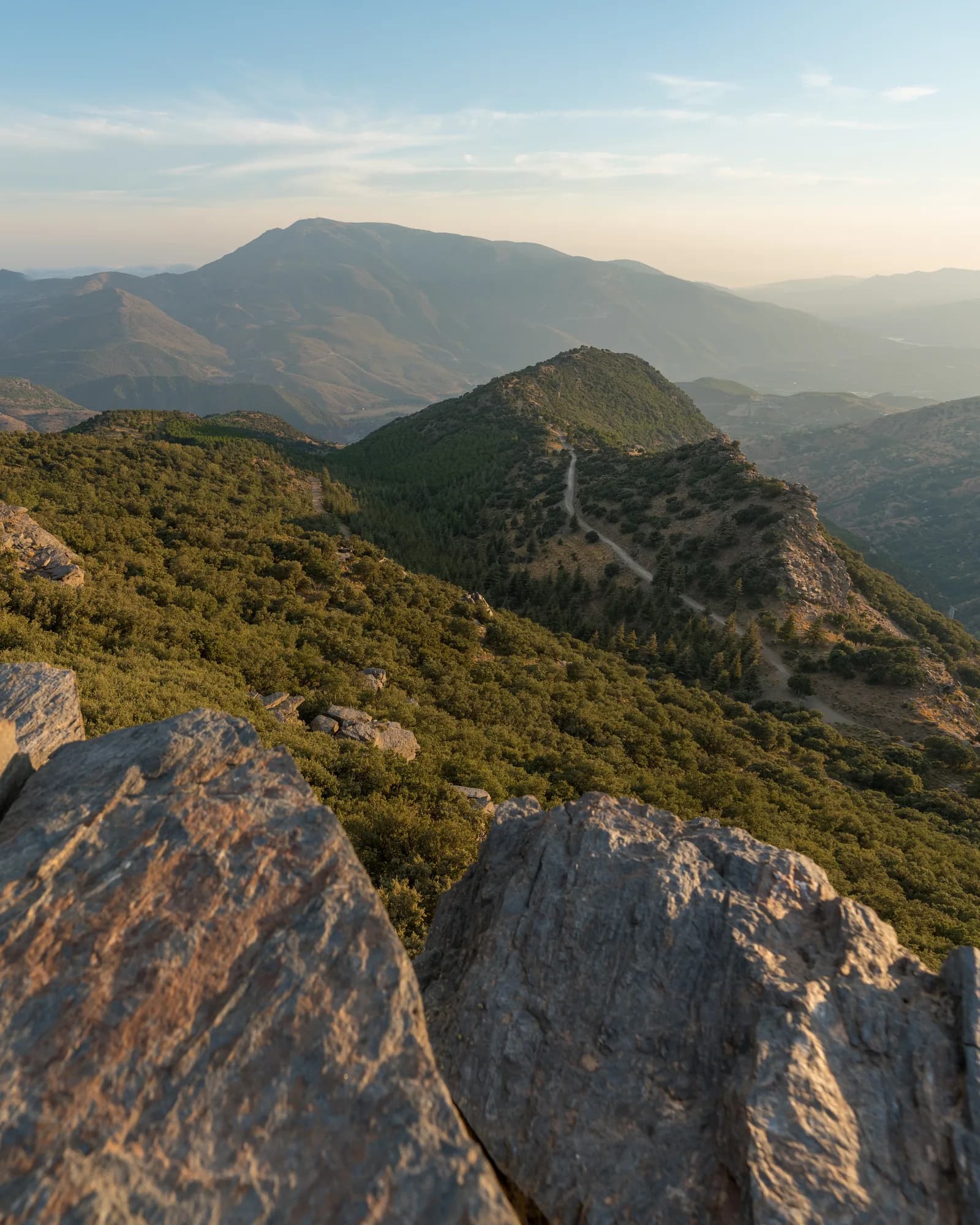 The founders in the field, Spain