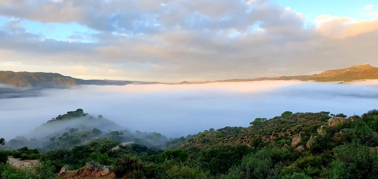 Dawn mist filling the valley below the ridge, Sierra de Andújar