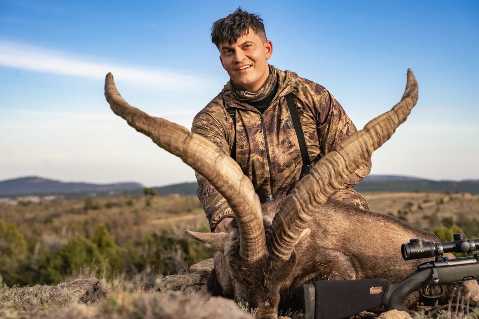 Iberian ibex trophy, Spain