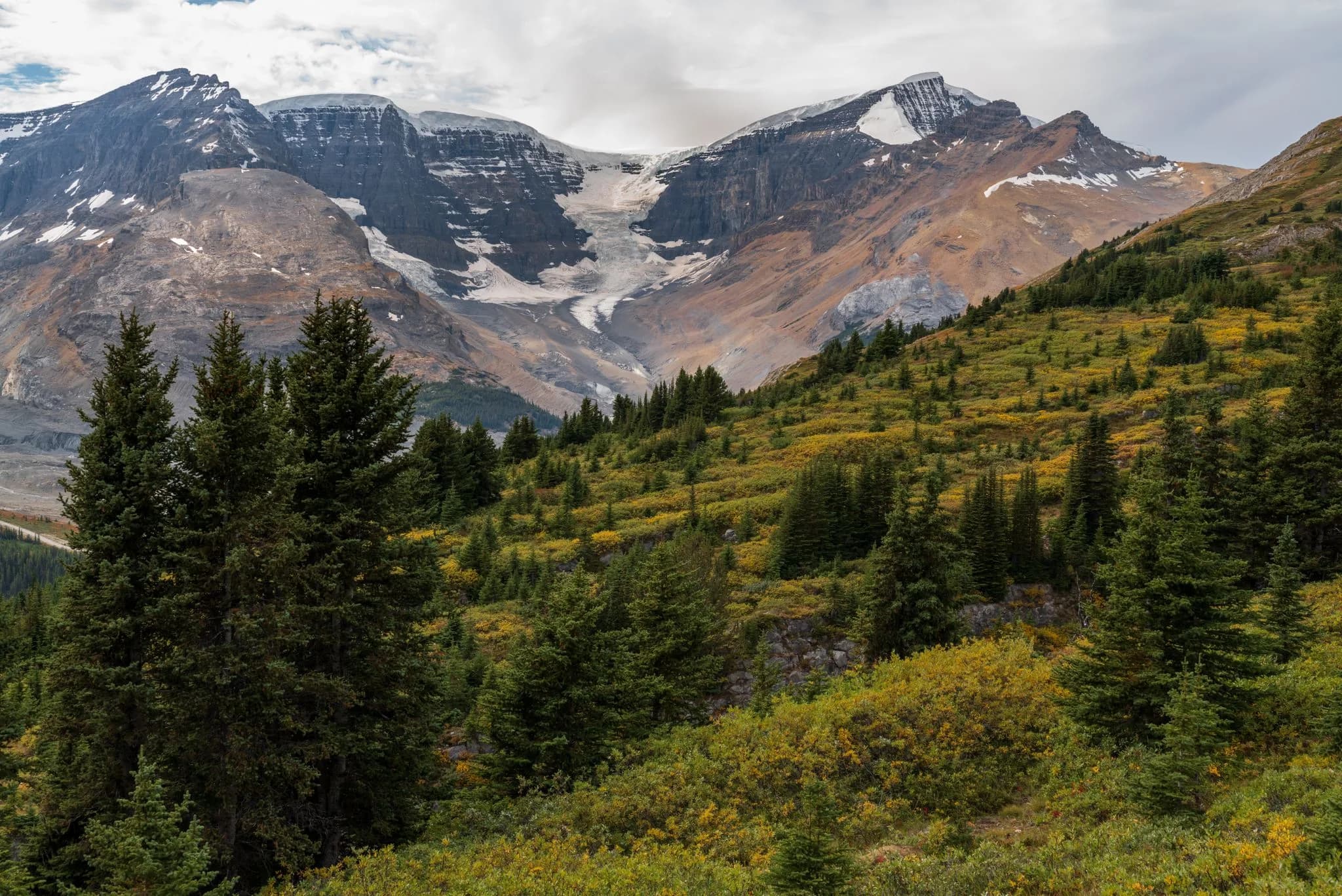 Glacier and alpine meadow, the Canadian North