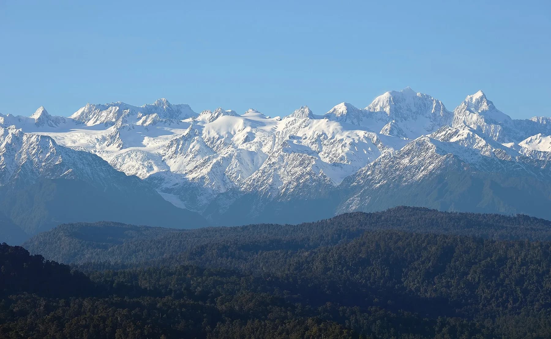 The Southern Alps in snow above dark forest