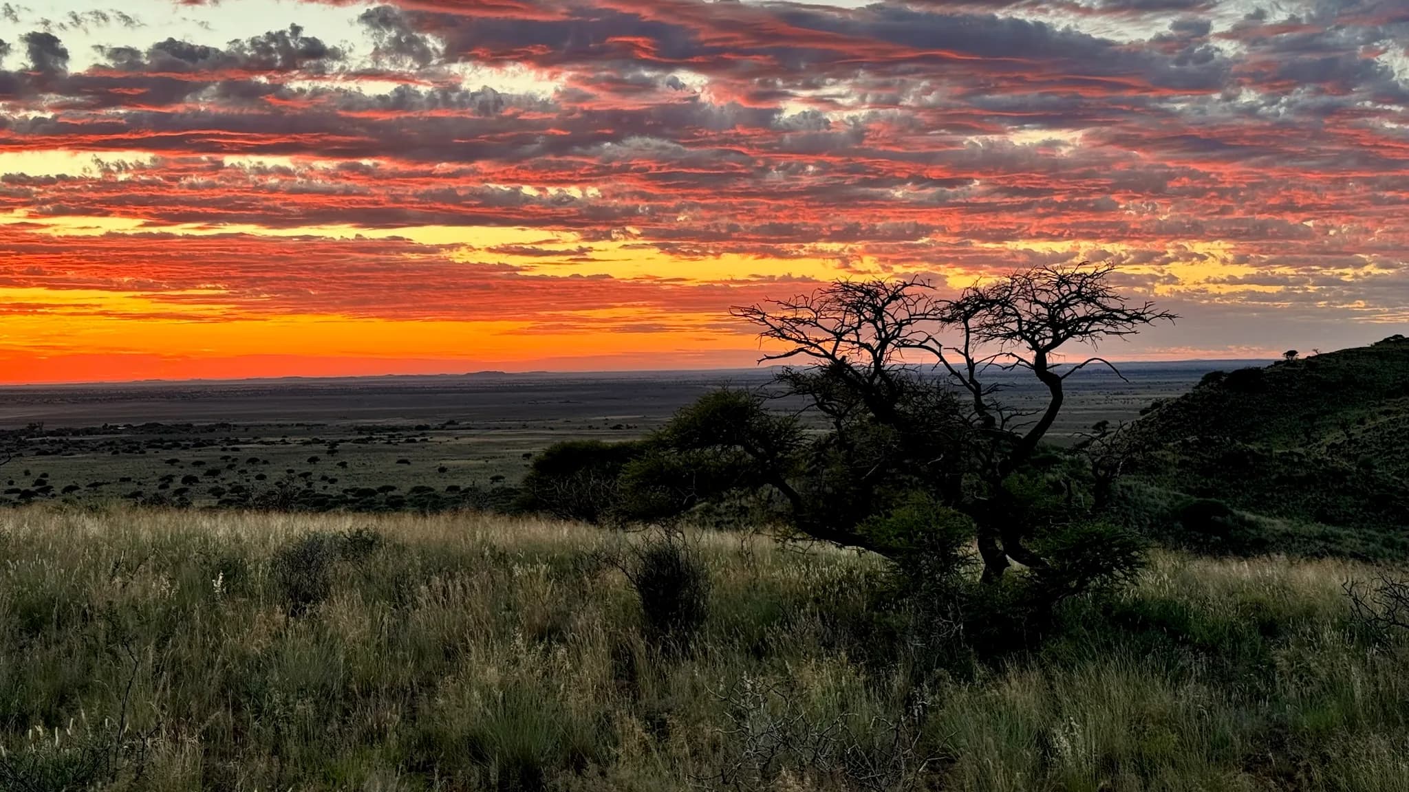 Sundown over hosted ground