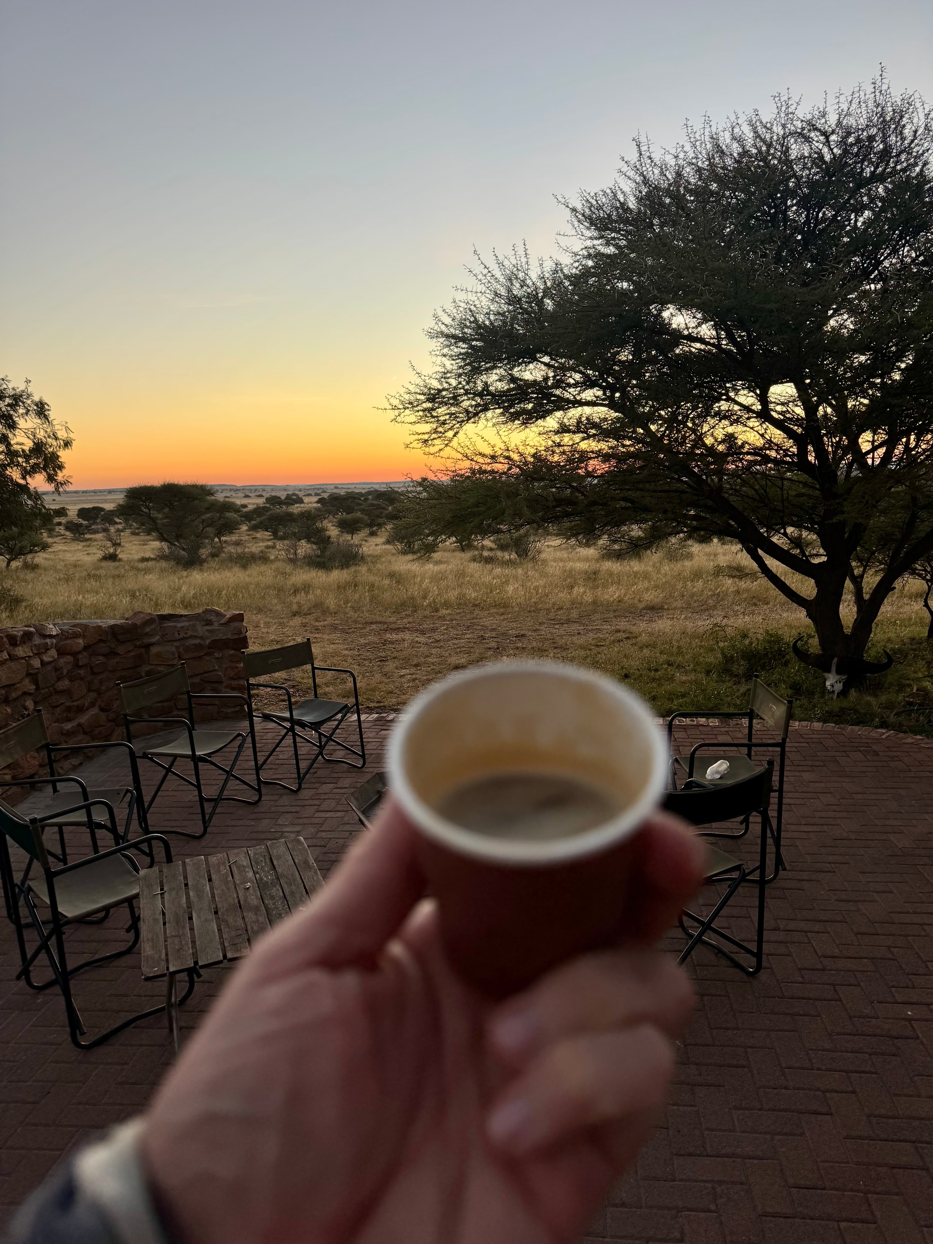 Coffee before the morning stalk