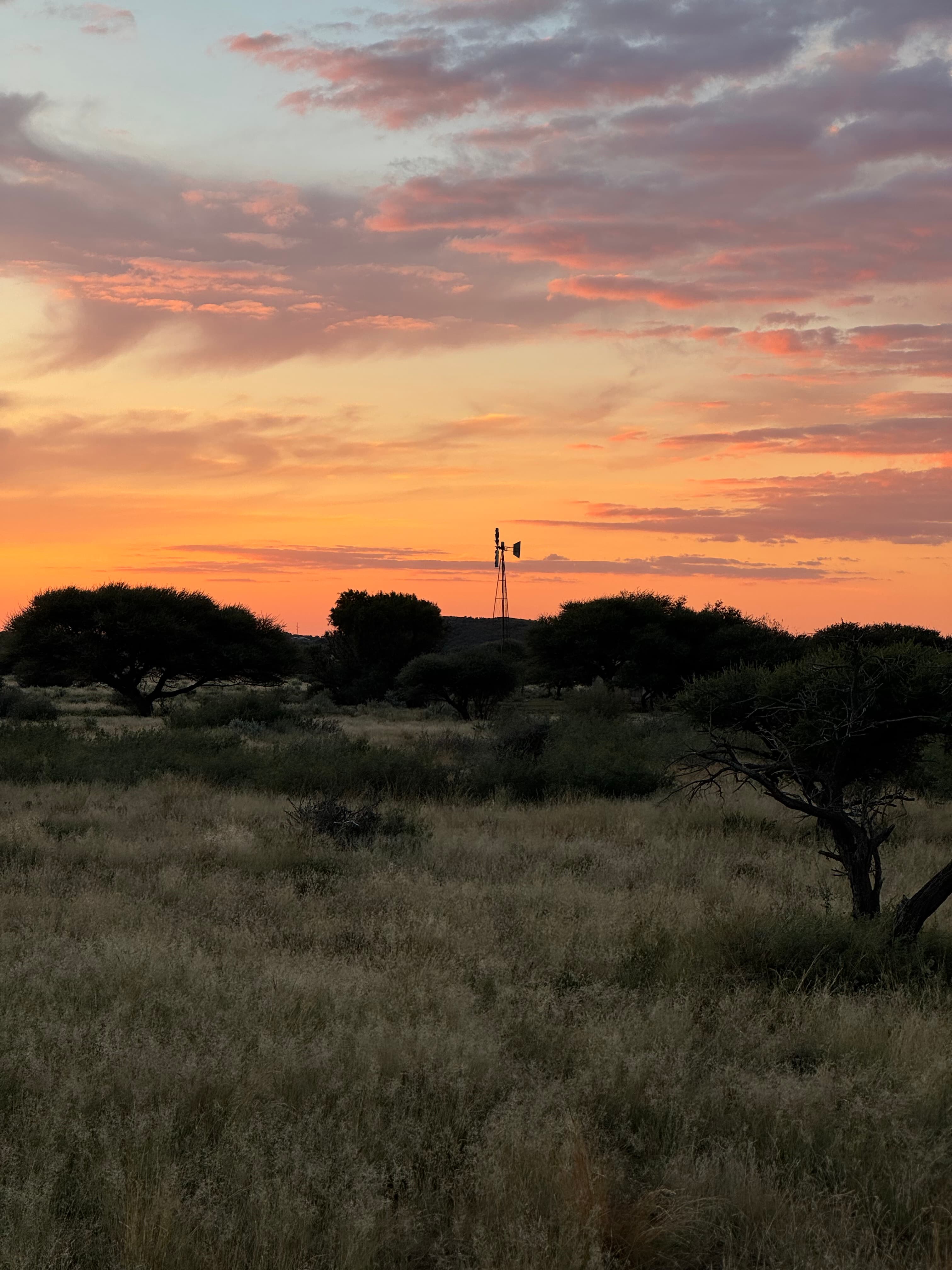Dusk in the Eastern Cape hills