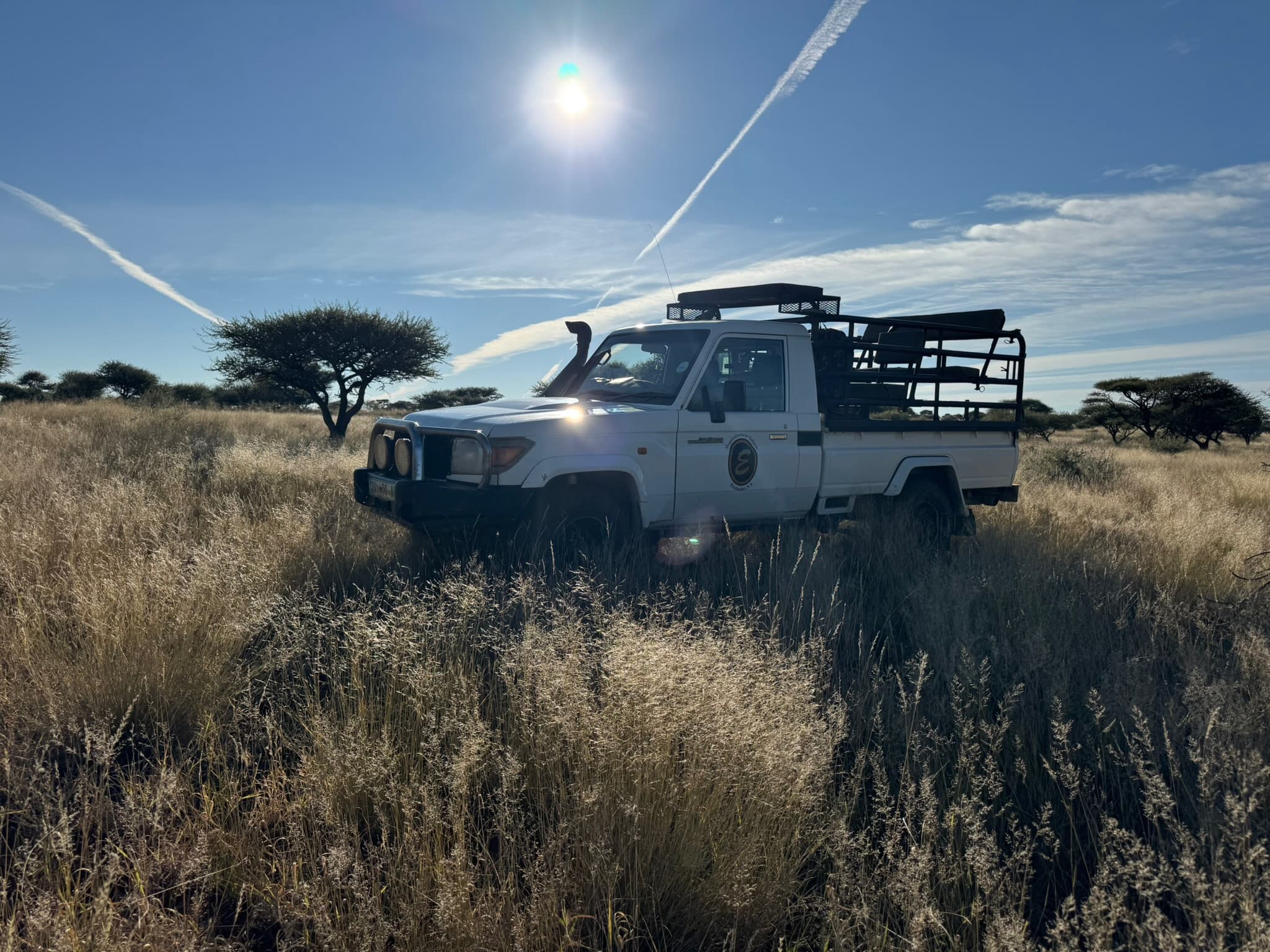 Veld morning
