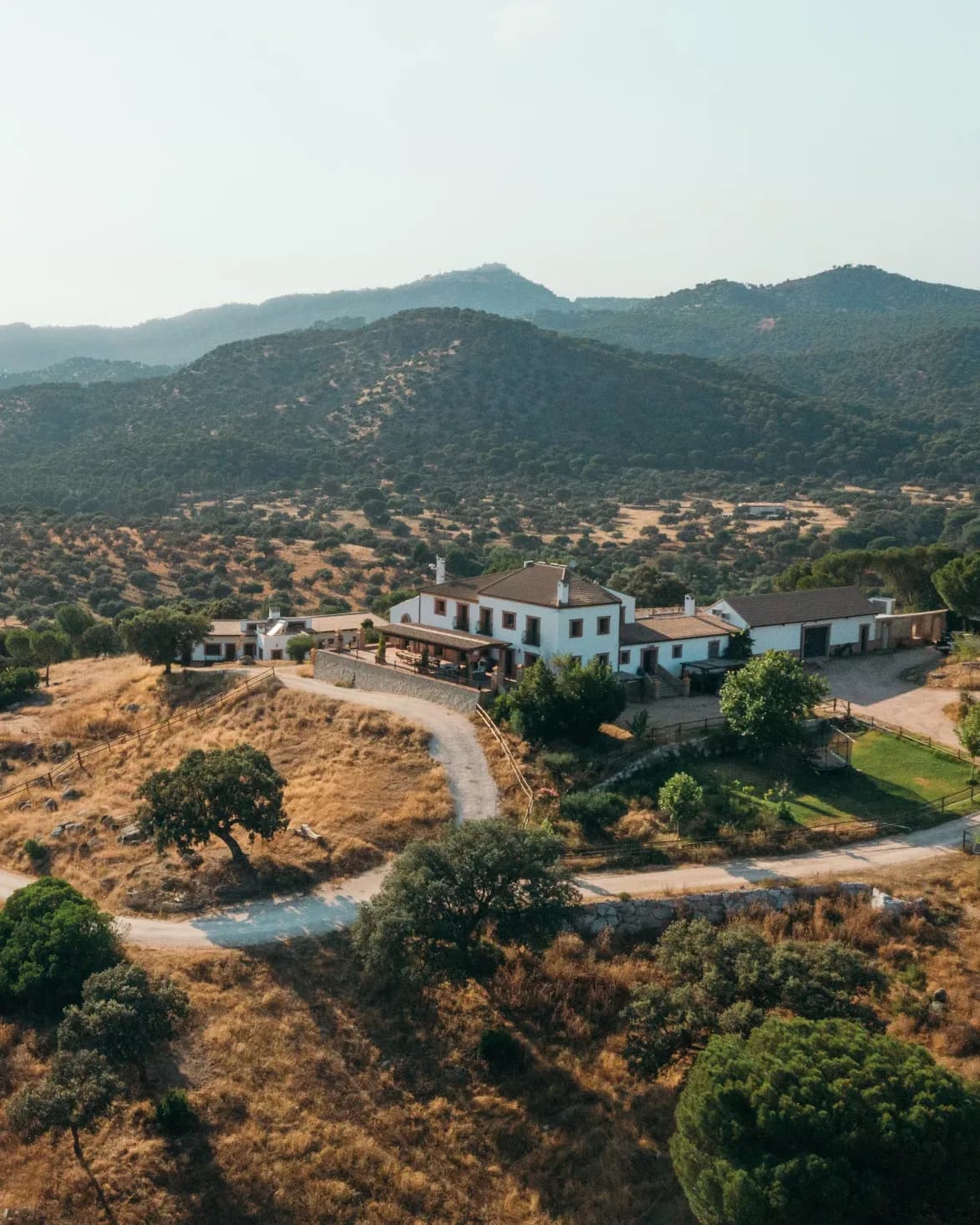 The finca and its track from above, oaks running to the hills