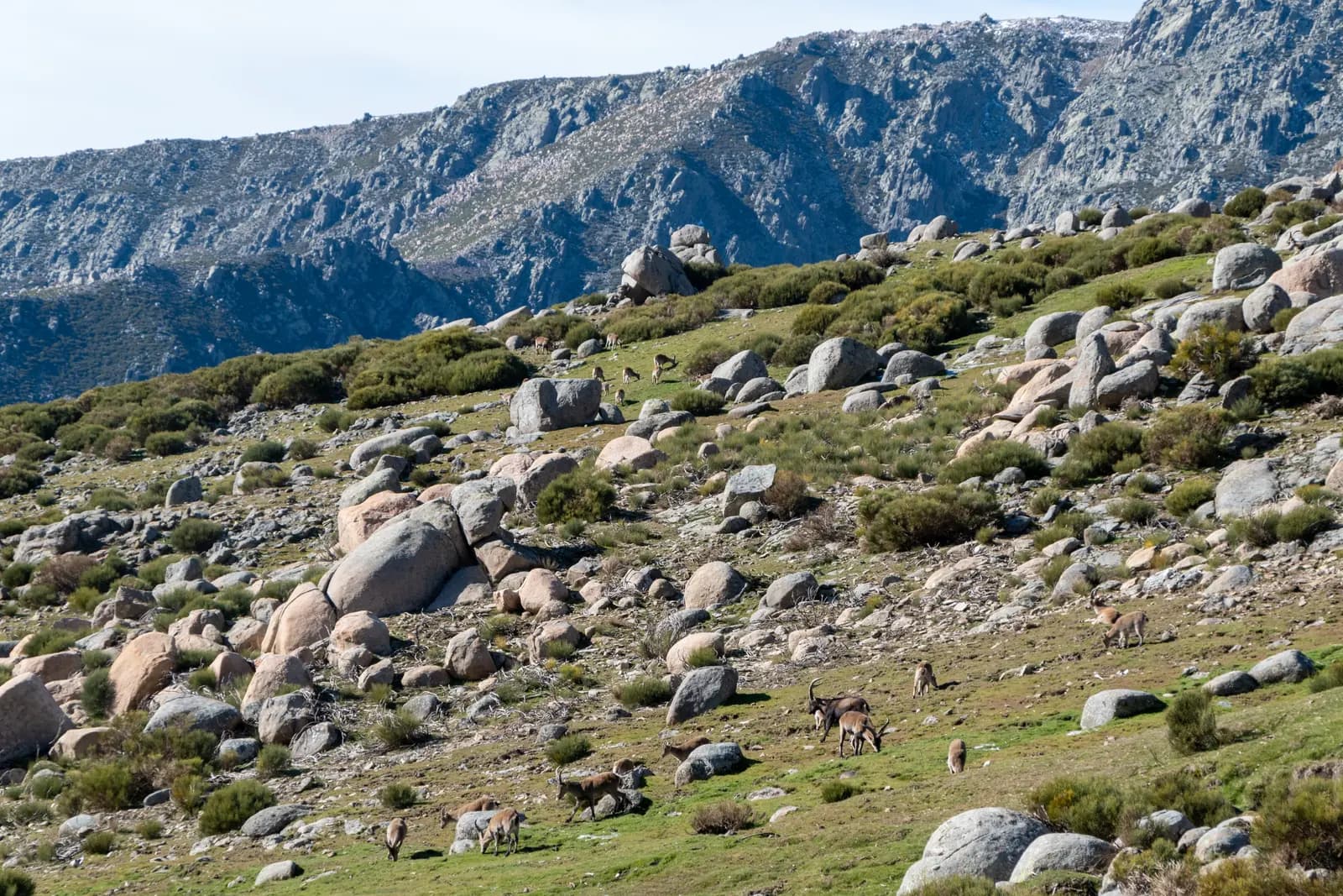 Granite peaks of the Sierra de Gredos