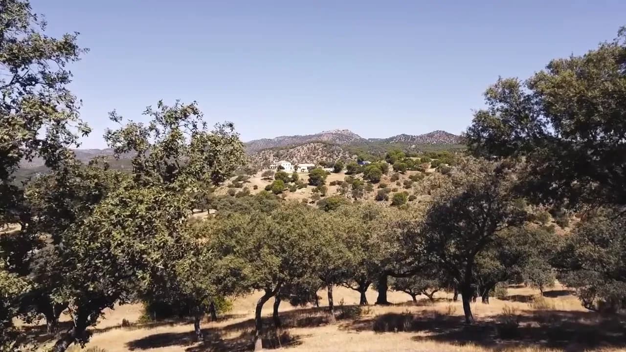 Still frame from the film